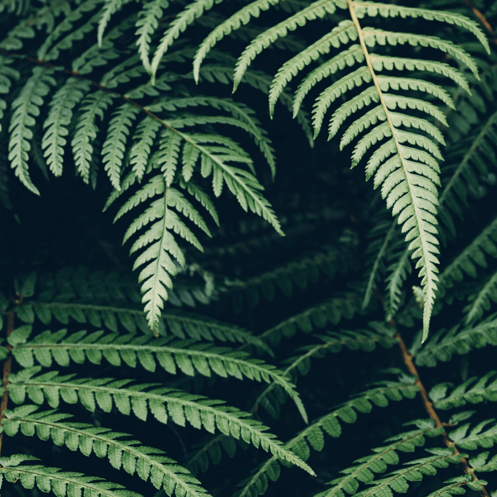 Séance de suivi hypnose